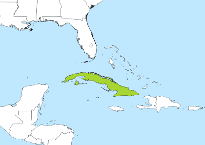 CST Time Zone Geo Map